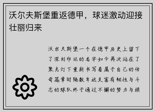 沃尔夫斯堡重返德甲，球迷激动迎接壮丽归来