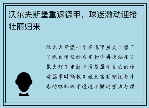 沃尔夫斯堡重返德甲，球迷激动迎接壮丽归来